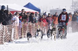 Lenk 2013